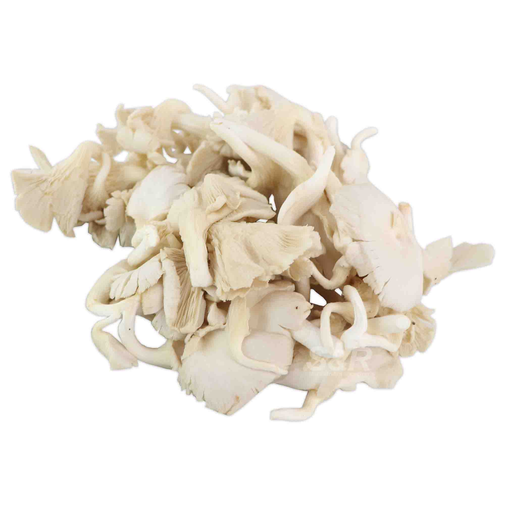 S&R Oyster Mushroom approx. 800g S&R Oyster Mushroom approx. 800g
